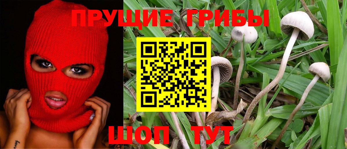 Псилоцибиновые грибы MAGIC MUSHROOMS Ишим