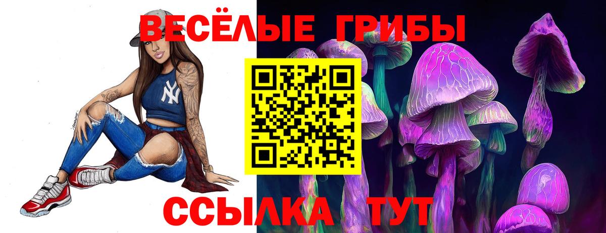 Ишим  Псилоцибиновые грибы прущие грибы  Вход с VPN 